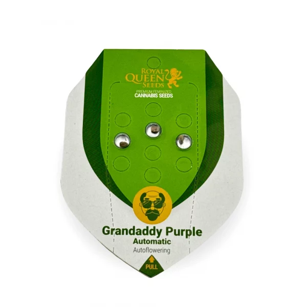 Grandaddy Purple Automatic 3x Cannabissamen