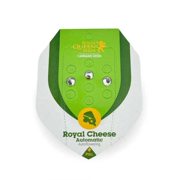 Royal Cheese Automatic 3x Cannabissamen