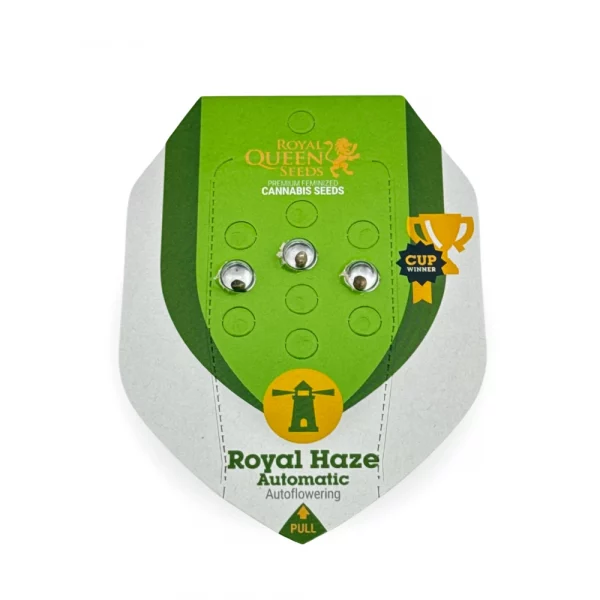 Royal Haze Automatic 3x Cannabissamen