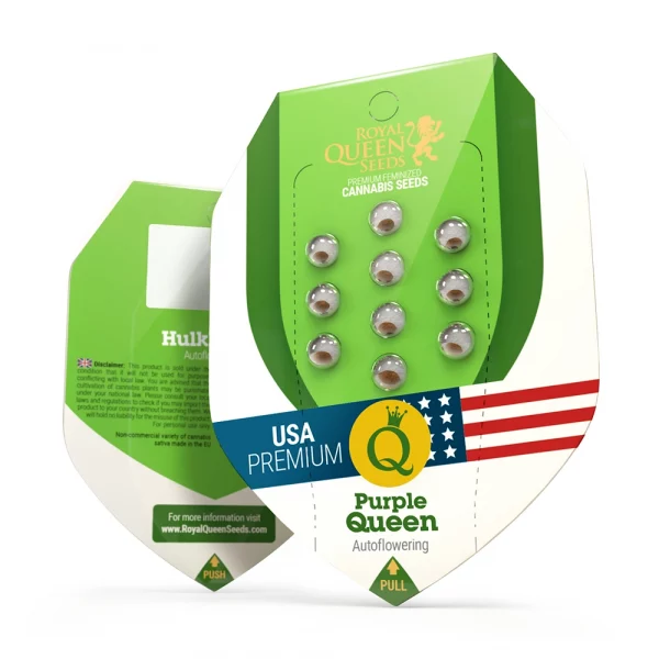 Purple Queen Automatic 3x Cannabissamen - USA Premium